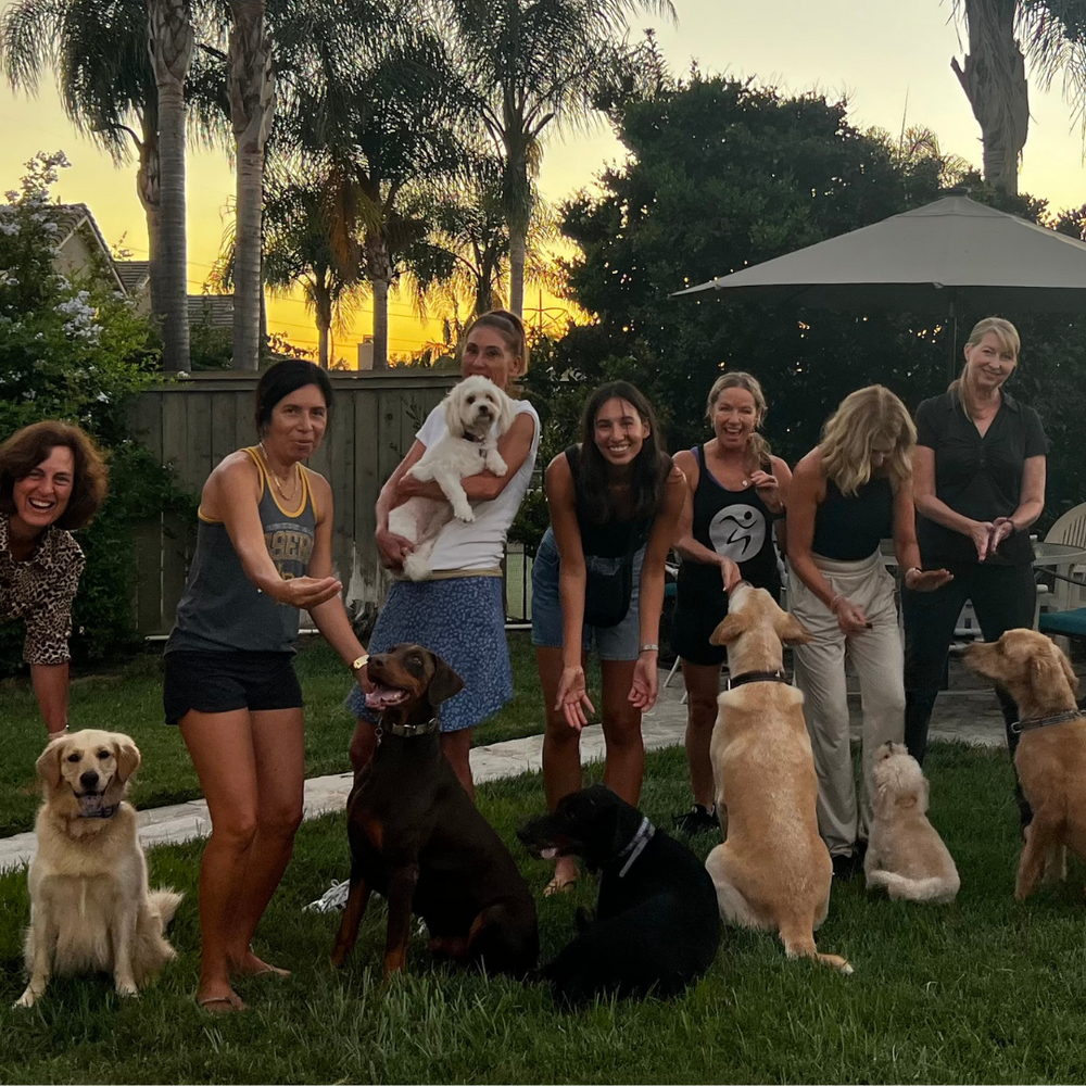 Puppy Pamper Party: A Hump Day Hangout with Wine, Woofs, and Treats!