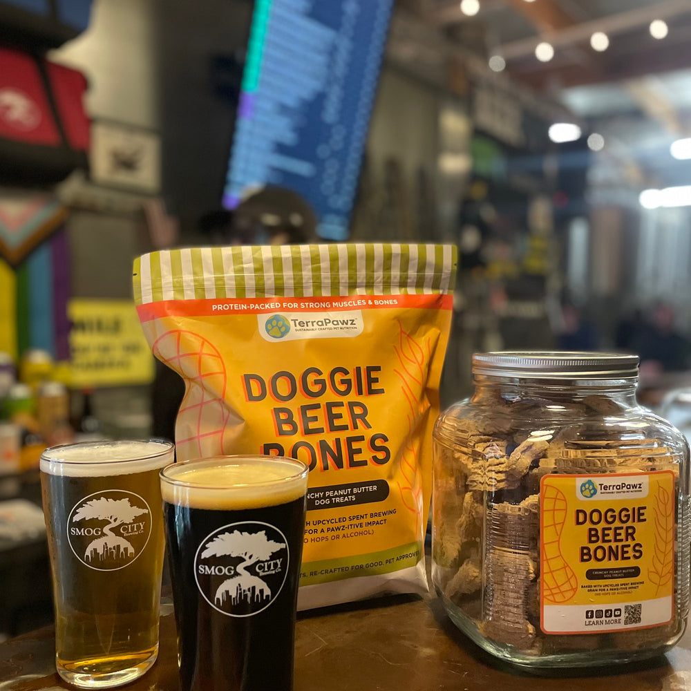 
                      
                        Treat Jar with Nutty Doggie Beer Bones
                      
                    